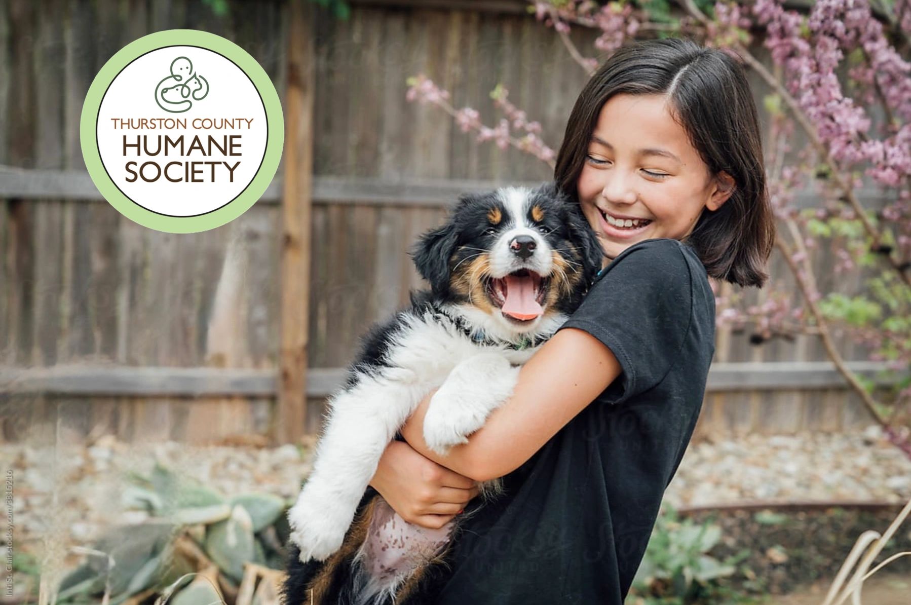 Pet Adoption